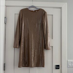 Banana Republic Elegant Long Sleeve Dress in Deep Brown